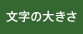 文字の大きさ