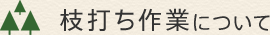 枝打ち作業について