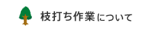 枝打ち作業について