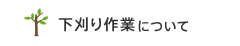 下刈り作業について