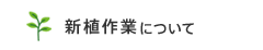 新植作業について