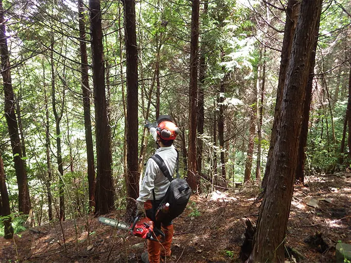 除伐木確認を行う作業員の写真