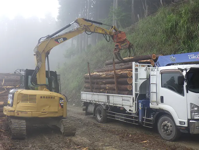 木材出荷の様子の写真