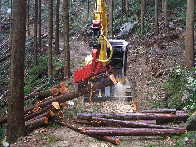 プロセッサによる造材作業の様子の写真