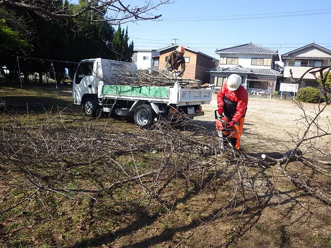 公園での支障木伐採の様子の写真