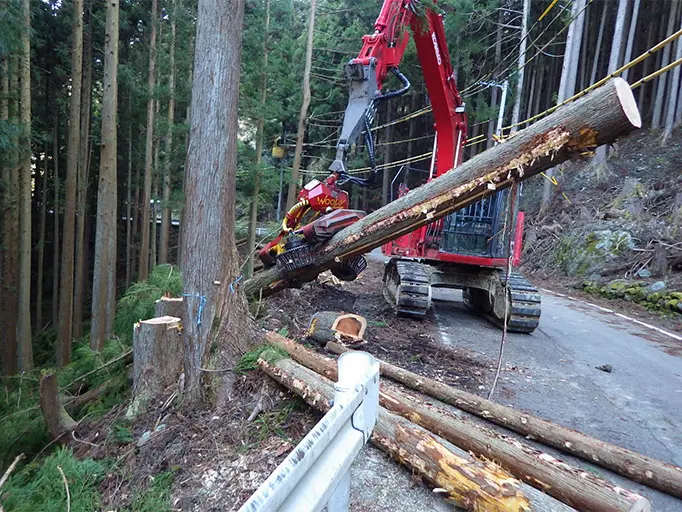 林道での支障木伐採の様子の写真