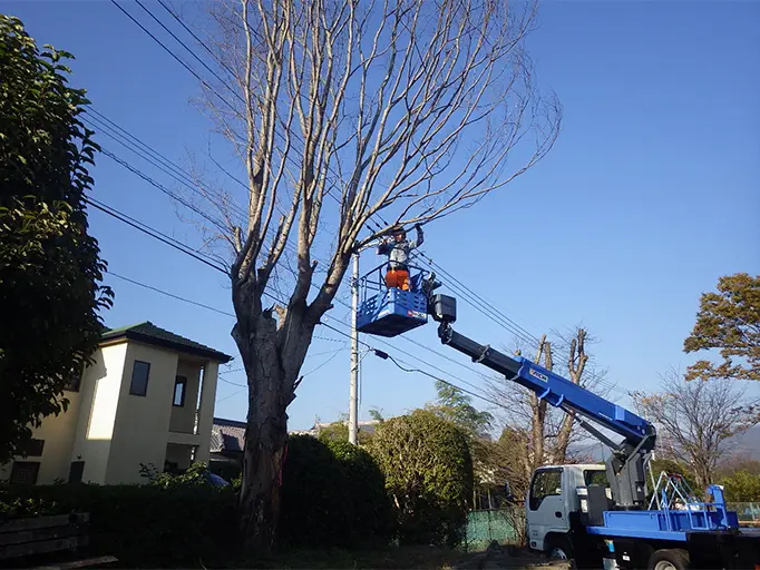住宅地での支障木伐採の様子の写真