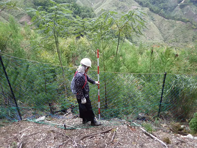 巡視の様子の写真