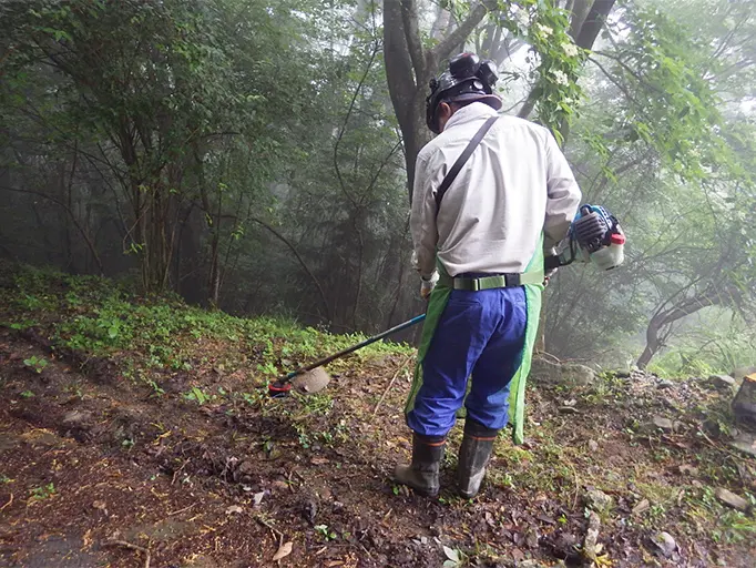 道草刈の様子の写真